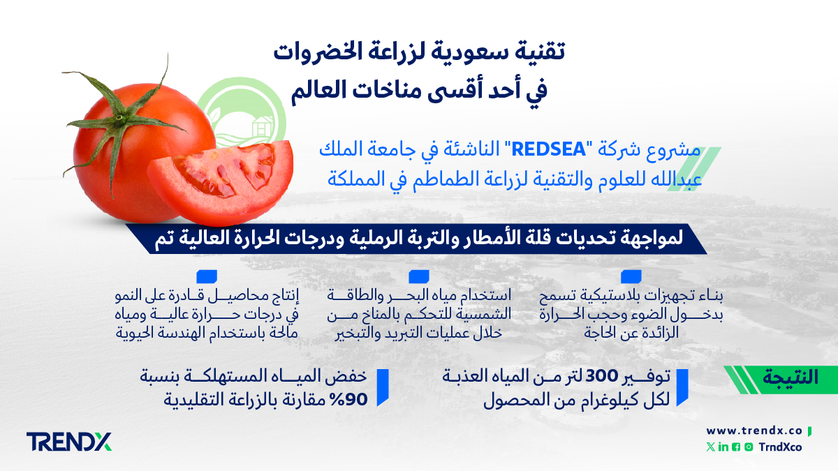 تقنية سعودية لزراعة الخضروات في أحد أقسى مناخات العالم