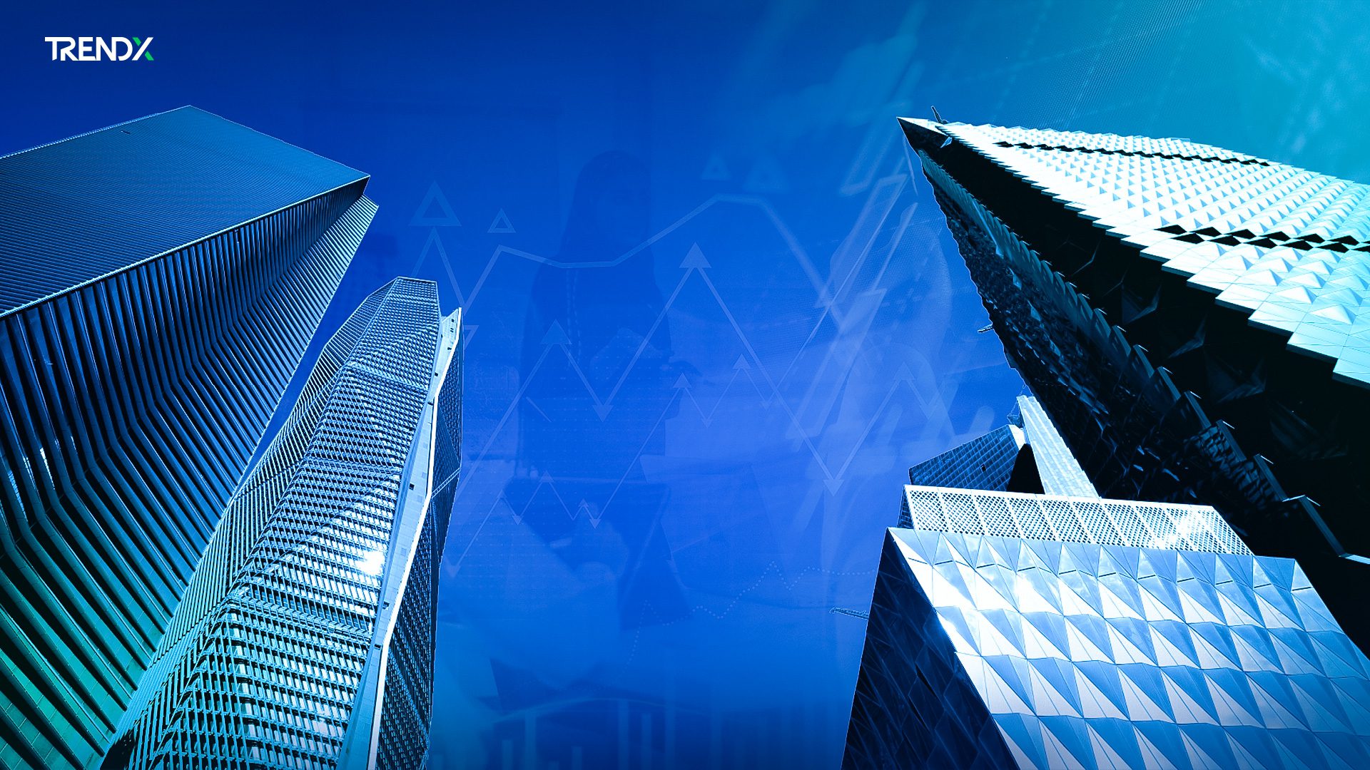 الشركات الناشئة.. منظومة واعدة للريادة