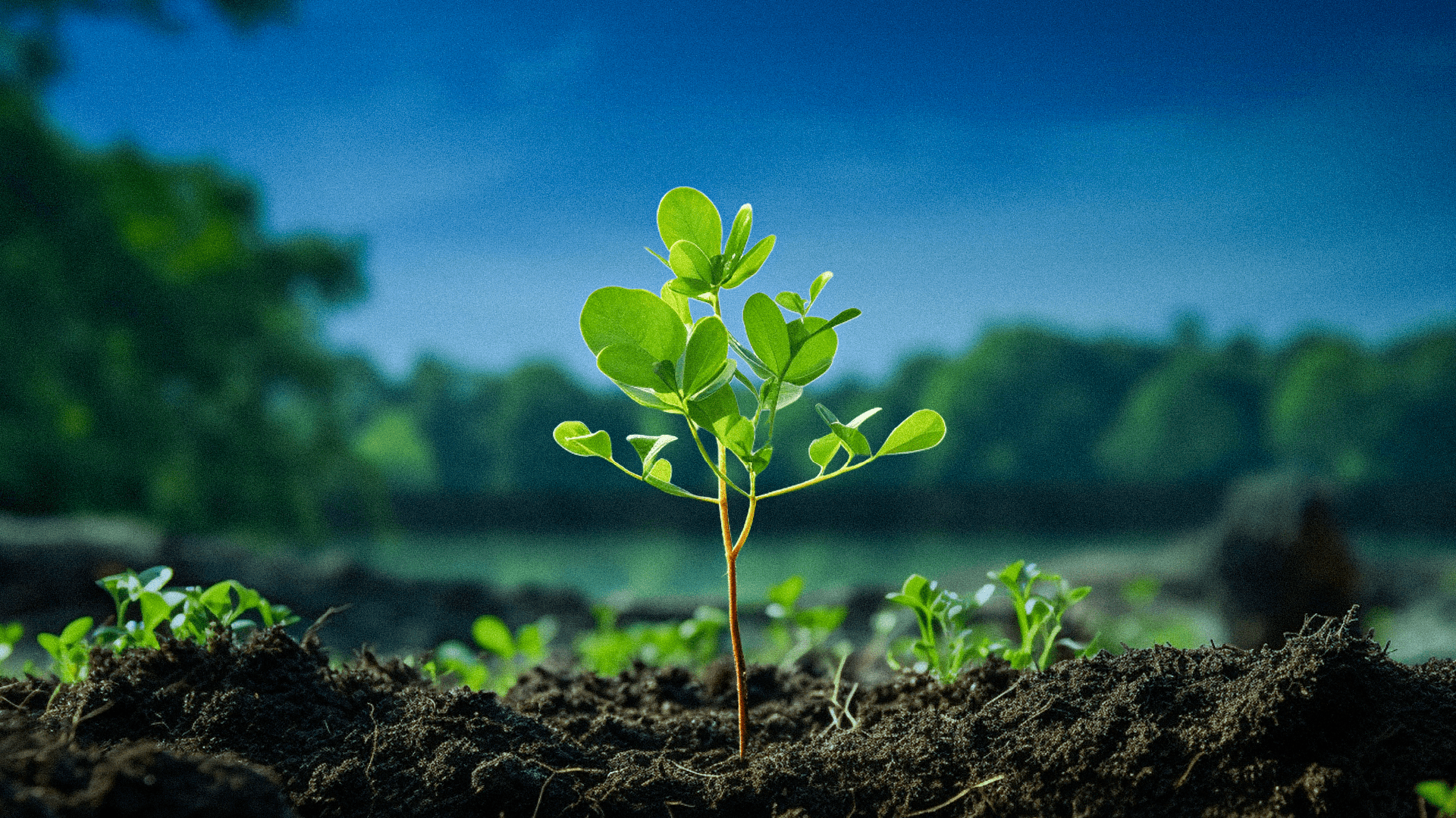 تقرير المناخ