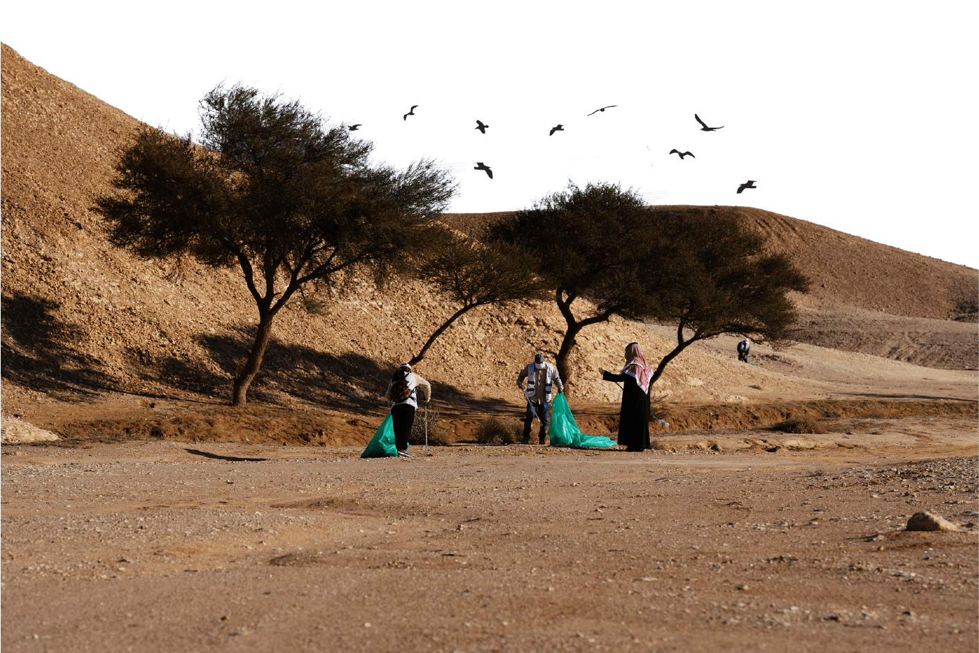 desert
