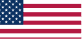 flagusa