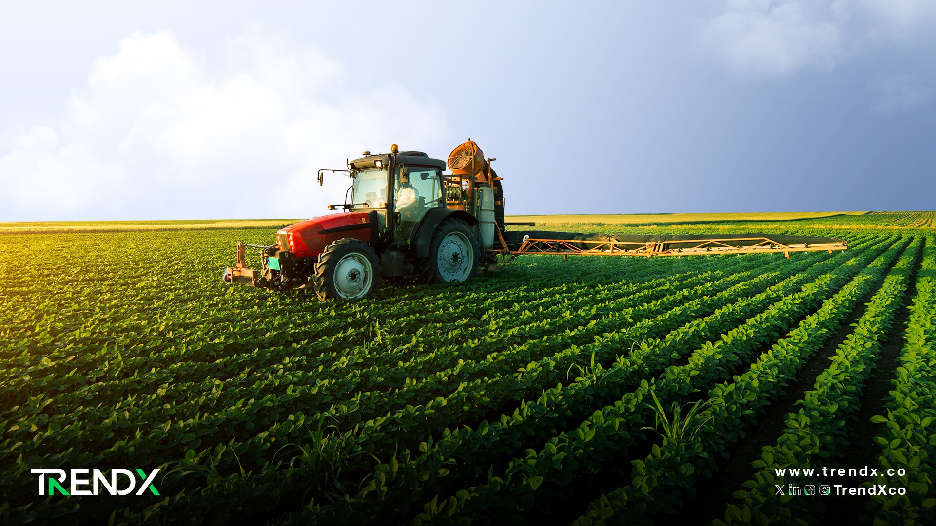 تغير المناخ: كيف يؤثر على مستقبل الأمن الغذائي وفرص الزراعة؟