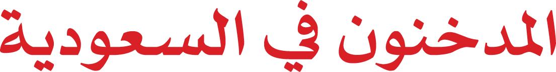 Asset 3 1
