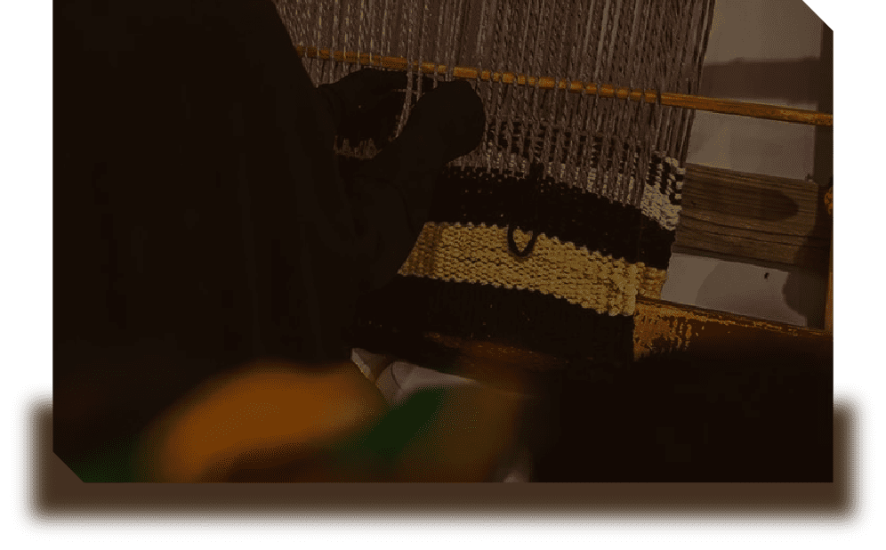 Asset 3 6