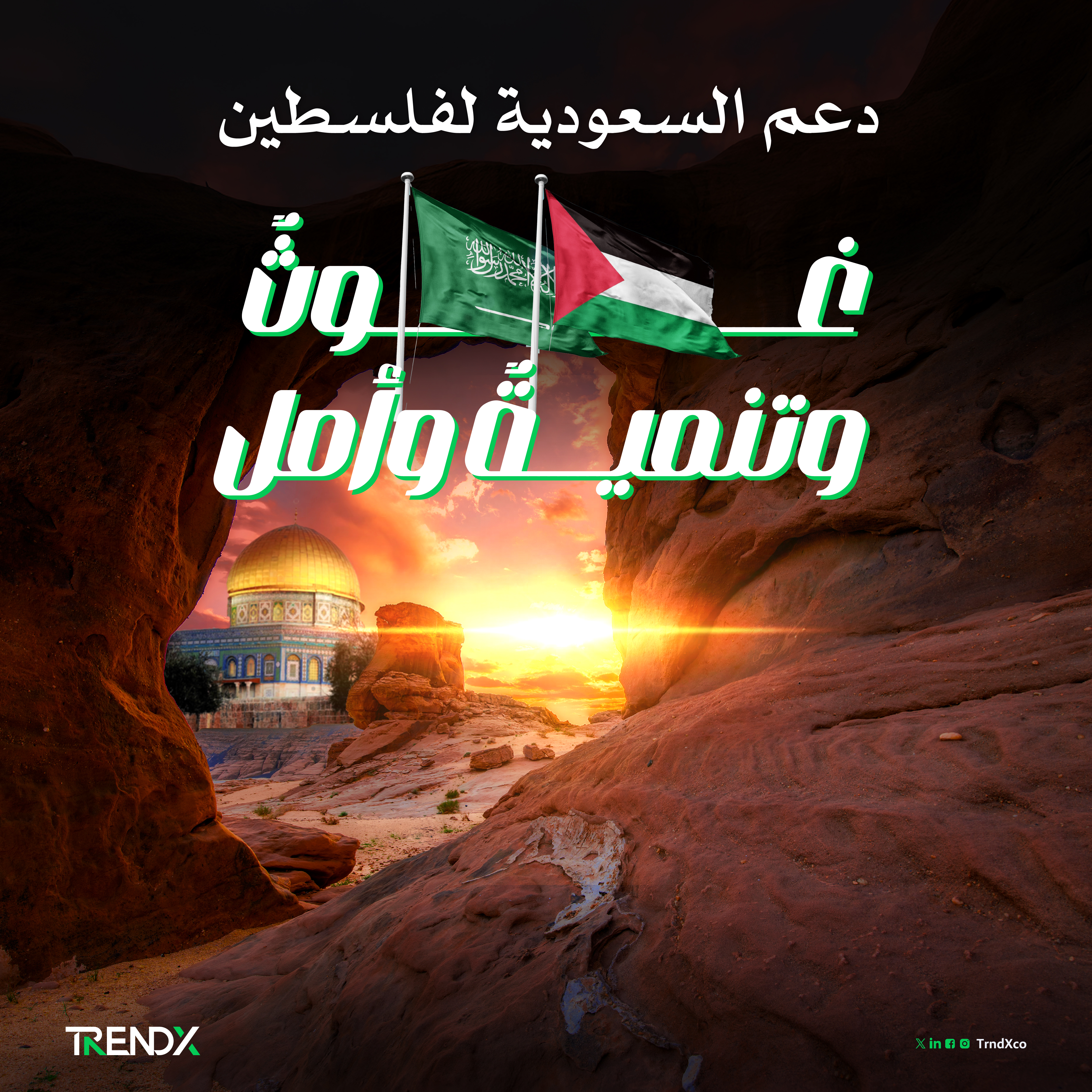 الدعم السعودي لفلسطين.. مبادرة شاملة لتعزيز الاستقرار والتنمية