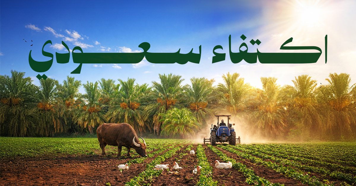 اكتفاء سعودي.. الأمن الغذائي يتحقق والإنتاج المحلي يتنامى
